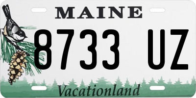 ME license plate 8733UZ