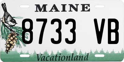 ME license plate 8733VB