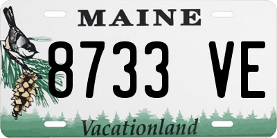 ME license plate 8733VE