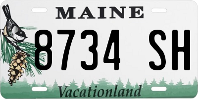 ME license plate 8734SH