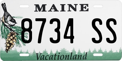 ME license plate 8734SS