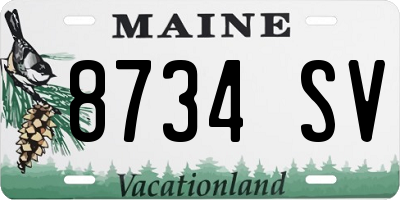 ME license plate 8734SV