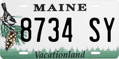 ME license plate 8734SY