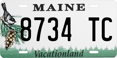 ME license plate 8734TC
