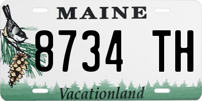 ME license plate 8734TH