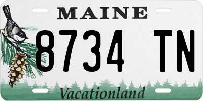ME license plate 8734TN