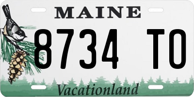 ME license plate 8734TO