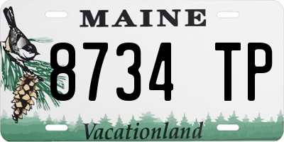 ME license plate 8734TP