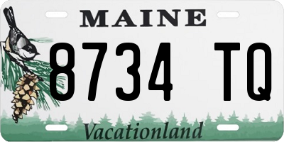 ME license plate 8734TQ