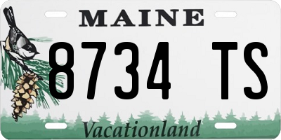 ME license plate 8734TS