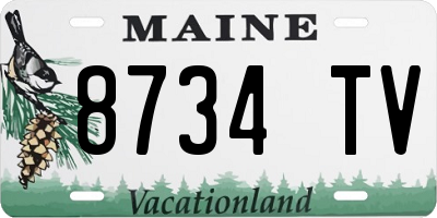 ME license plate 8734TV
