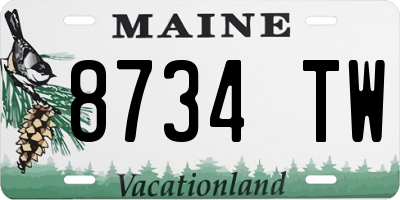 ME license plate 8734TW