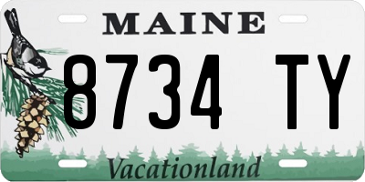 ME license plate 8734TY