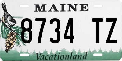 ME license plate 8734TZ