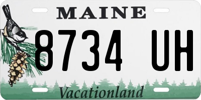 ME license plate 8734UH