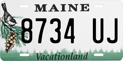 ME license plate 8734UJ