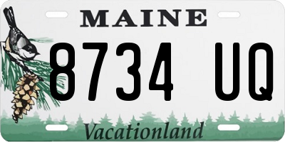 ME license plate 8734UQ