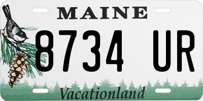 ME license plate 8734UR