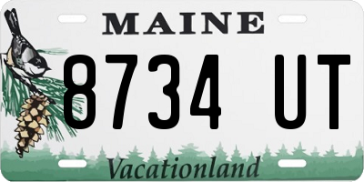 ME license plate 8734UT