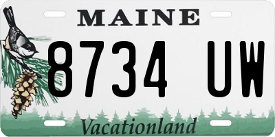 ME license plate 8734UW