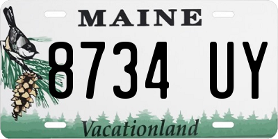 ME license plate 8734UY