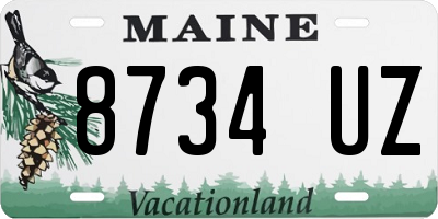 ME license plate 8734UZ