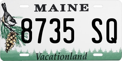 ME license plate 8735SQ