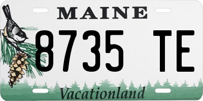 ME license plate 8735TE
