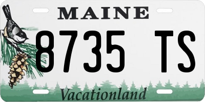 ME license plate 8735TS