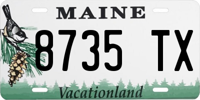 ME license plate 8735TX