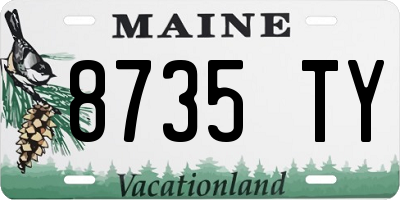 ME license plate 8735TY