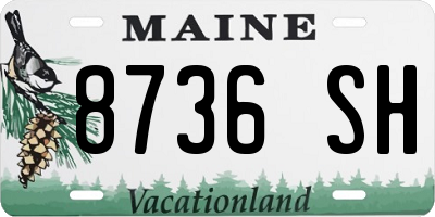 ME license plate 8736SH