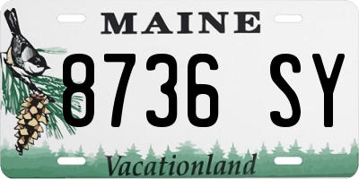 ME license plate 8736SY