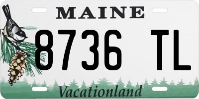ME license plate 8736TL