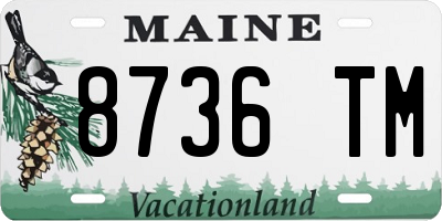 ME license plate 8736TM