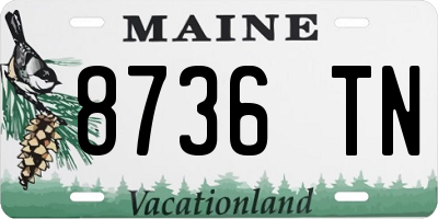 ME license plate 8736TN