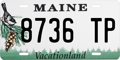 ME license plate 8736TP