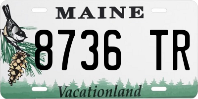 ME license plate 8736TR