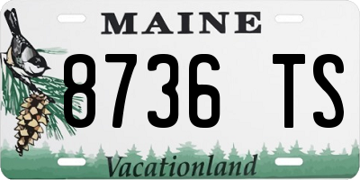 ME license plate 8736TS