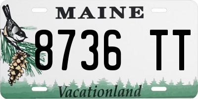 ME license plate 8736TT