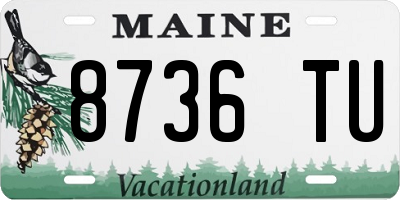 ME license plate 8736TU