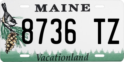 ME license plate 8736TZ