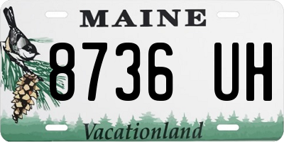 ME license plate 8736UH