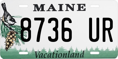 ME license plate 8736UR