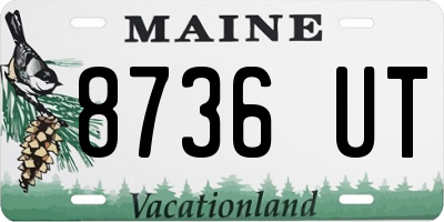 ME license plate 8736UT