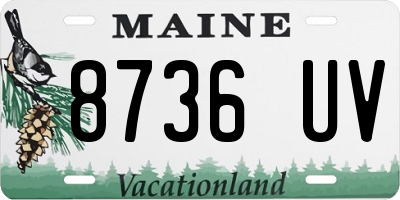 ME license plate 8736UV