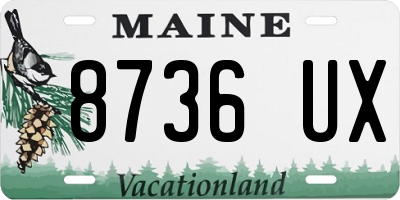 ME license plate 8736UX