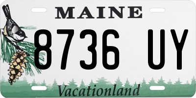 ME license plate 8736UY