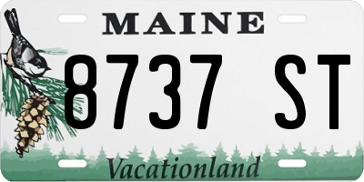 ME license plate 8737ST