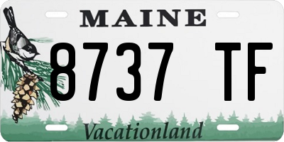 ME license plate 8737TF